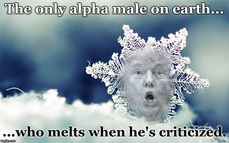 Trump Snowflake | The only alpha male on earth... ...who melts when he's criticized. | image tagged in trump snowflake | made w/ Imgflip meme maker