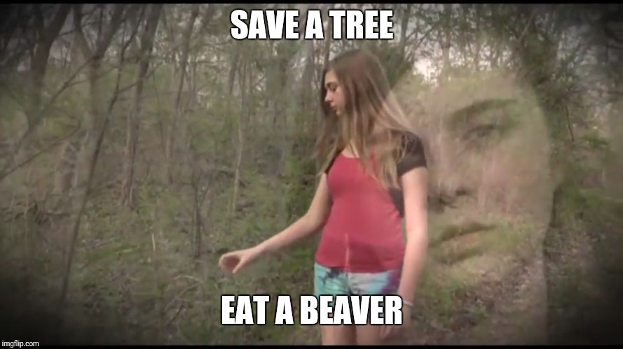 Save the trees | SAVE A TREE EAT A BEAVER | image tagged in save the trees | made w/ Imgflip meme maker