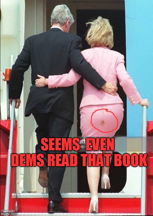 Hillary Shit stain | SEEMS  EVEN DEMS READ THAT BOOK | image tagged in hillary shit stain | made w/ Imgflip meme maker