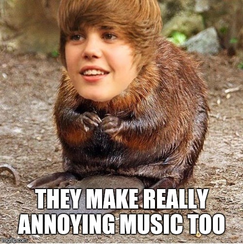 justin beaver | THEY MAKE REALLY ANNOYING MUSIC TOO | image tagged in justin beaver | made w/ Imgflip meme maker