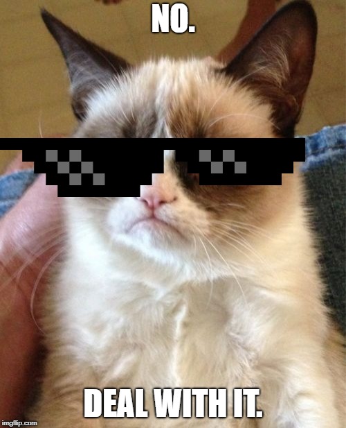 2 memes in one? | NO. DEAL WITH IT. | image tagged in memes,grumpy cat,deal with it | made w/ Imgflip meme maker