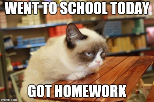 Grumpy Cat Table | WENT TO SCHOOL TODAY; GOT HOMEWORK | image tagged in memes,grumpy cat table,grumpy cat | made w/ Imgflip meme maker