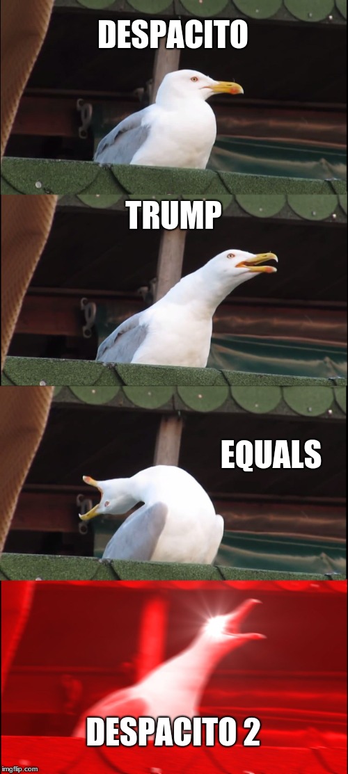 Inhaling Seagull | DESPACITO; TRUMP; EQUALS; DESPACITO 2 | image tagged in memes,inhaling seagull | made w/ Imgflip meme maker