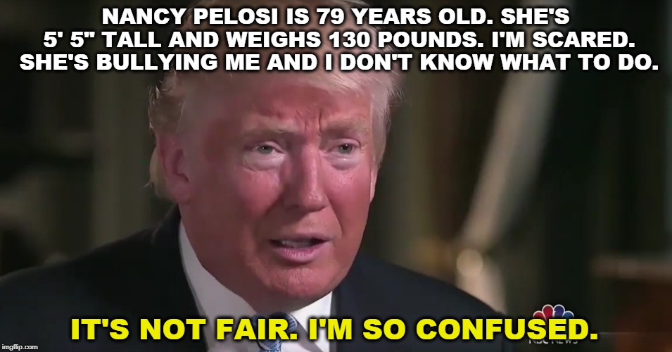 NANCY PELOSI IS 79 YEARS OLD. SHE'S 5' 5" TALL AND WEIGHS 130 POUNDS. I'M SCARED. SHE'S BULLYING ME AND I DON'T KNOW WHAT TO DO. IT'S NOT FAIR. I'M SO CONFUSED. | image tagged in trump,pelosi,bullying | made w/ Imgflip meme maker