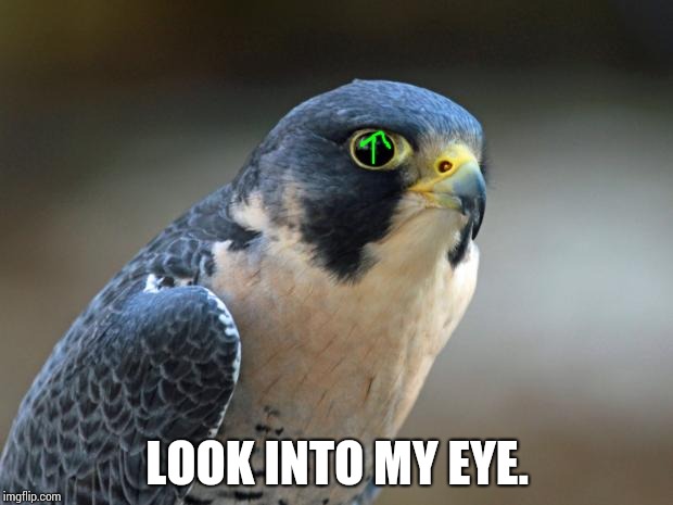 Blue Falcon | LOOK INTO MY EYE. | image tagged in blue falcon | made w/ Imgflip meme maker