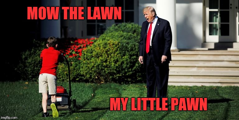 Even great at poetry  | MOW THE LAWN; MY LITTLE PAWN | image tagged in trump-kid-mowing | made w/ Imgflip meme maker