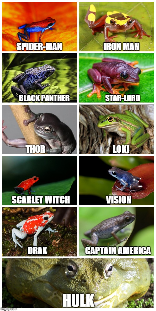 Sorry, I've got carried away. A little bit) | SPIDER-MAN                         IRON MAN; BLACK PANTHER                         STAR-LORD; THOR                                         LOKI; SCARLET WITCH                      VISION; DRAX                       CAPTAIN AMERICA; HULK | image tagged in avengers infinity war,avengers,spiderman,iron man,black panther,hulk | made w/ Imgflip meme maker