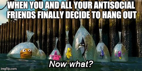 Now What? | WHEN YOU AND ALL YOUR ANTISOCIAL FRIENDS FINALLY DECIDE TO HANG OUT | image tagged in now what | made w/ Imgflip meme maker