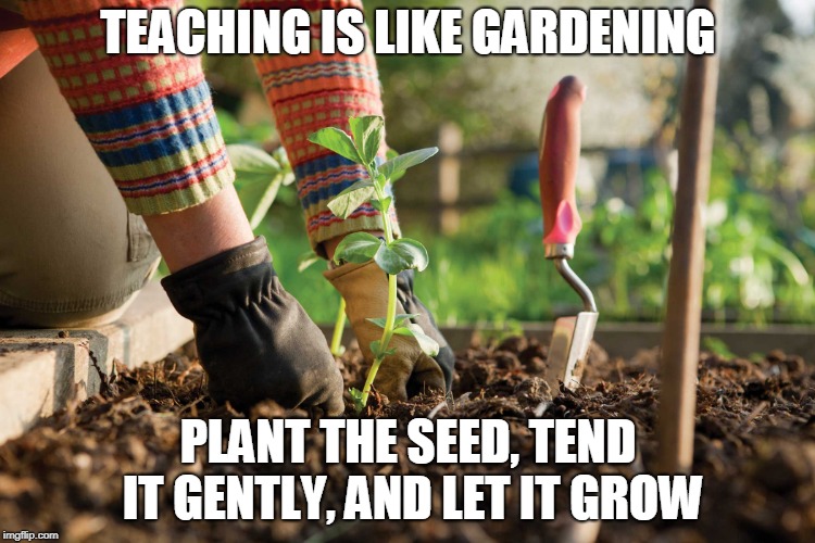 Gardening | TEACHING IS LIKE GARDENING; PLANT THE SEED, TEND IT GENTLY, AND LET IT GROW | image tagged in gardening | made w/ Imgflip meme maker
