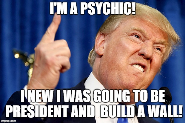 I'M A PSYCHIC! I NEW I WAS GOING TO BE PRESIDENT AND  BUILD A WALL! | image tagged in donald trump | made w/ Imgflip meme maker