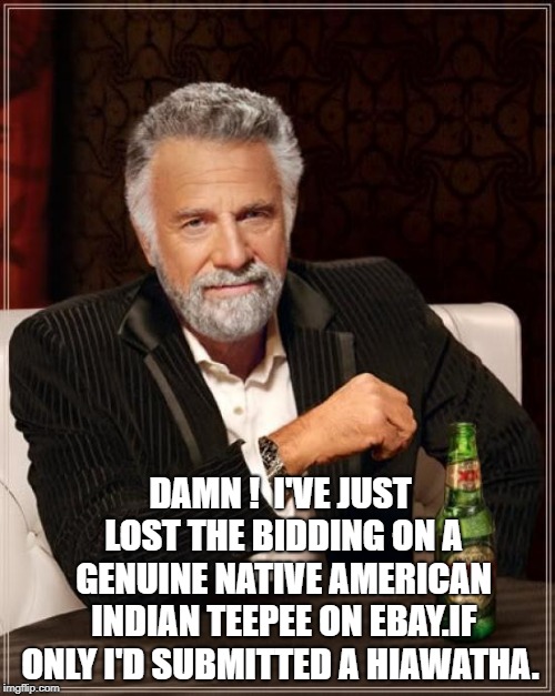 The Most Interesting Man In The World Meme | DAMN ! 
I'VE JUST LOST THE BIDDING ON A GENUINE NATIVE AMERICAN INDIAN TEEPEE ON EBAY.IF ONLY I'D SUBMITTED A HIAWATHA. | image tagged in memes,the most interesting man in the world | made w/ Imgflip meme maker