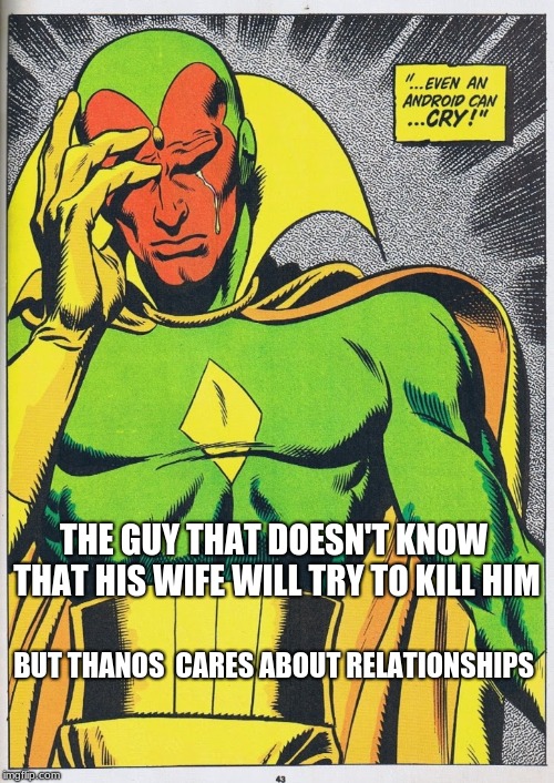 Vision Prroblems | THE GUY THAT DOESN'T KNOW THAT HIS WIFE WILL TRY TO KILL HIM; BUT THANOS  CARES ABOUT RELATIONSHIPS | image tagged in memes,funny memes | made w/ Imgflip meme maker