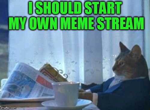 But I don't know what.... | I SHOULD START MY OWN MEME STREAM | image tagged in memes,i should buy a boat cat | made w/ Imgflip meme maker