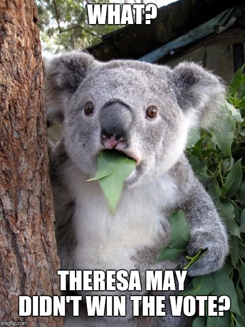 Surprised Koala | WHAT? THERESA MAY DIDN'T WIN THE VOTE? | image tagged in memes,surprised koala | made w/ Imgflip meme maker