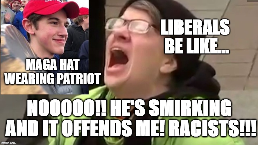 The Smirking Patriot  | LIBERALS BE LIKE... MAGA HAT WEARING PATRIOT; NOOOOO!! HE'S SMIRKING AND IT OFFENDS ME! RACISTS!!! | image tagged in screaming liberal,maga,funny,memes,patriotism,political meme | made w/ Imgflip meme maker