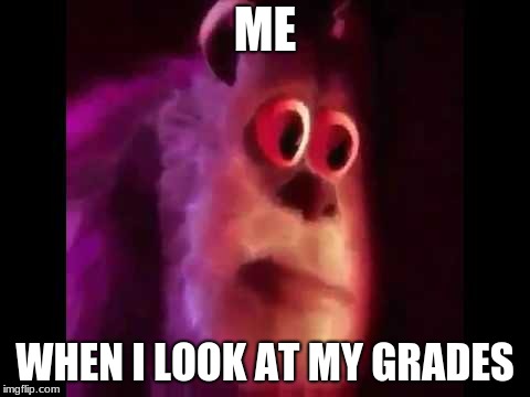 Sully Groan | ME; WHEN I LOOK AT MY GRADES | image tagged in sully groan | made w/ Imgflip meme maker