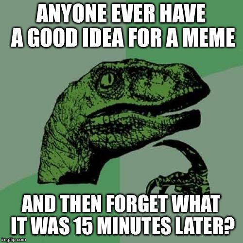 Am I the only one? Yeah? Ok... | ANYONE EVER HAVE A GOOD IDEA FOR A MEME; AND THEN FORGET WHAT IT WAS 15 MINUTES LATER? | image tagged in memes,philosoraptor,ideas,forget | made w/ Imgflip meme maker