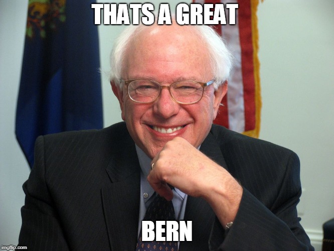 Vote Bernie Sanders | THATS A GREAT BERN | image tagged in vote bernie sanders | made w/ Imgflip meme maker