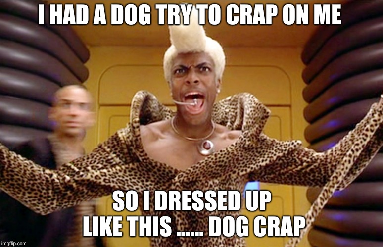 Rappers these days | I HAD A DOG TRY TO CRAP ON ME; SO I DRESSED UP LIKE THIS ...... DOG CRAP | image tagged in rappers these days | made w/ Imgflip meme maker