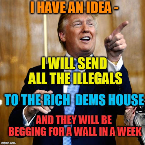 Donal Trump Birthday | I HAVE AN IDEA - AND THEY WILL BE BEGGING FOR A WALL IN A WEEK I WILL SEND ALL THE ILLEGALS TO THE RICH  DEMS HOUSE | image tagged in donal trump birthday | made w/ Imgflip meme maker