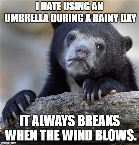 I wonder why umbrellas exist then. | I HATE USING AN UMBRELLA DURING A RAINY DAY; IT ALWAYS BREAKS WHEN THE WIND BLOWS. | image tagged in memes,confession bear | made w/ Imgflip meme maker