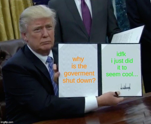 Trump Bill Signing | why is the goverment shut down? idfk i just did it to seem cool... | image tagged in memes,trump bill signing | made w/ Imgflip meme maker