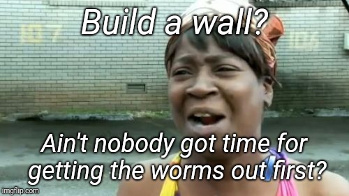 Rotten Apple | Build a wall? Ain't nobody got time for getting the worms out first? | image tagged in memes,aint nobody got time for that,rotten,federal reserve,government corruption,justjeff | made w/ Imgflip meme maker