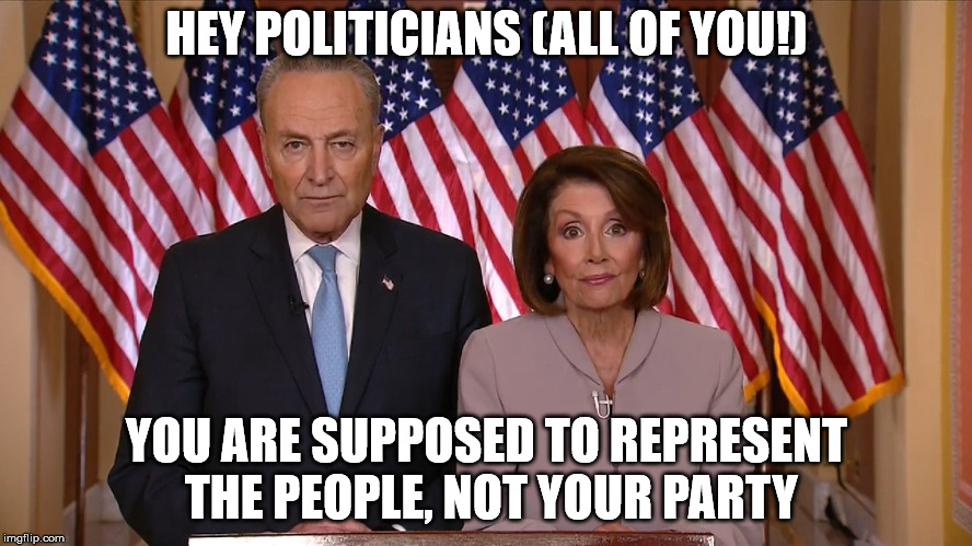 Chuck and Nancy | HEY POLITICIANS (ALL OF YOU!); YOU ARE SUPPOSED TO REPRESENT THE PEOPLE, NOT YOUR PARTY | image tagged in chuck and nancy | made w/ Imgflip meme maker