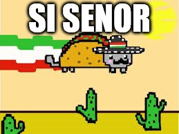 taco cat | SI SENOR | image tagged in taco cat | made w/ Imgflip meme maker