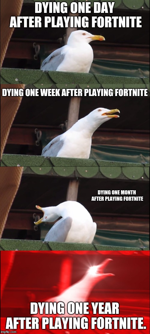 Inhaling Seagull Meme | DYING ONE DAY AFTER PLAYING FORTNITE; DYING ONE WEEK AFTER PLAYING FORTNITE; DYING ONE MONTH AFTER PLAYING FORTNITE; DYING ONE YEAR AFTER PLAYING FORTNITE. | image tagged in memes,inhaling seagull | made w/ Imgflip meme maker