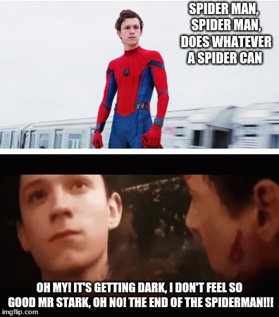 Spiderman Infinity War Theme Song Meme | SPIDER MAN,  SPIDER MAN,  DOES WHATEVER A SPIDER CAN; OH MY! IT'S GETTING DARK, I DON'T FEEL SO GOOD MR STARK, OH NO! THE END OF THE SPIDERMAN!!! | image tagged in spiderman peter parker,avengers infinity war,spiderman homecoming,iron man,tom holland,i don't feel so good | made w/ Imgflip meme maker