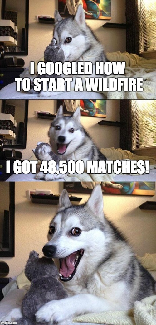 Bad Dog Fire | I GOOGLED HOW TO START A WILDFIRE; I GOT 48,500 MATCHES! | image tagged in memes,bad pun dog | made w/ Imgflip meme maker