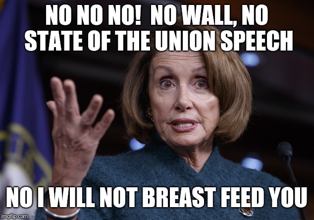 Good old Nancy Pelosi | NO NO NO!  NO WALL, NO STATE OF THE UNION SPEECH; NO I WILL NOT BREAST FEED YOU | image tagged in good old nancy pelosi | made w/ Imgflip meme maker
