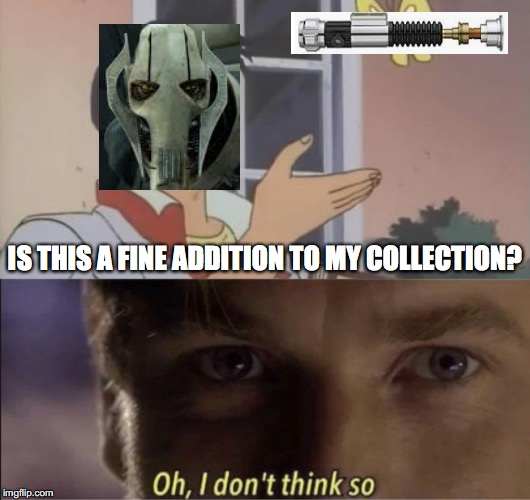 IS THIS A FINE ADDITION TO MY COLLECTION? | image tagged in is this a pigeon | made w/ Imgflip meme maker