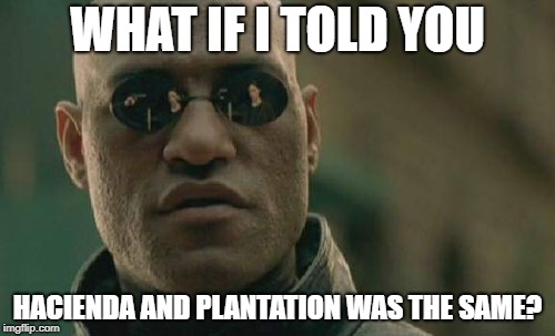 Matrix Morpheus Meme | WHAT IF I TOLD YOU; HACIENDA AND PLANTATION WAS THE SAME? | image tagged in memes,matrix morpheus | made w/ Imgflip meme maker