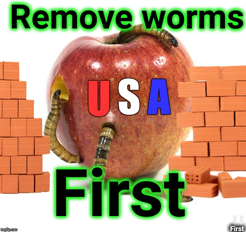 Rotting from the inside | Remove worms; First; First | image tagged in rotten,worms,usa,corruption,inside out,justjeff | made w/ Imgflip meme maker