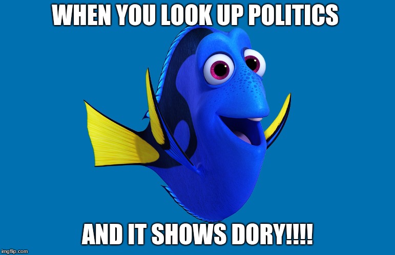 Politics Dory | WHEN YOU LOOK UP POLITICS; AND IT SHOWS DORY!!!! | image tagged in politics dory | made w/ Imgflip meme maker