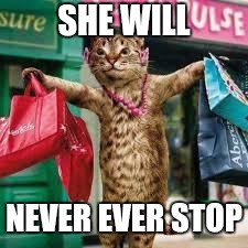 Cat shopping | SHE WILL NEVER EVER STOP | image tagged in cat shopping | made w/ Imgflip meme maker