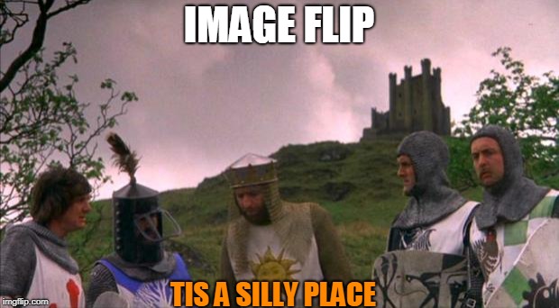 monty python memes spill from reddit to image flip | IMAGE FLIP; TIS A SILLY PLACE | image tagged in monty python tis a silly place | made w/ Imgflip meme maker