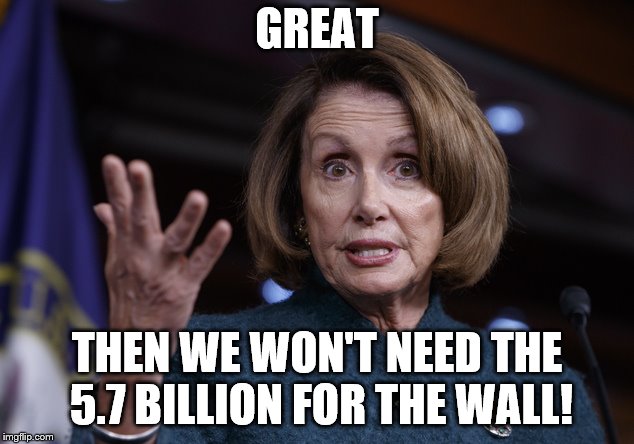 Good old Nancy Pelosi | GREAT THEN WE WON'T NEED THE 5.7 BILLION FOR THE WALL! | image tagged in good old nancy pelosi | made w/ Imgflip meme maker