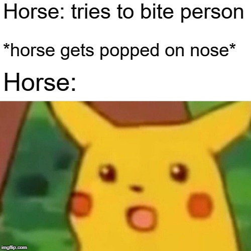 What if a human got popped on the nose? That would be a punch | Horse: tries to bite person; *horse gets popped on nose*; Horse: | image tagged in memes,surprised pikachu,horse,bite,funny,shock | made w/ Imgflip meme maker