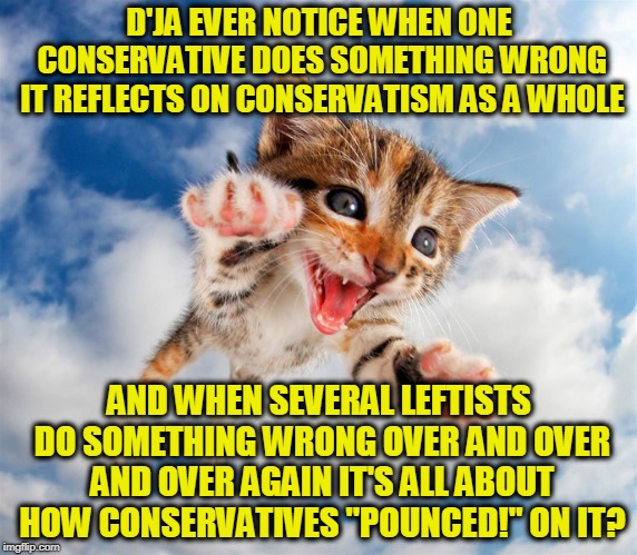 Pounce Kitty | D'JA EVER NOTICE WHEN ONE CONSERVATIVE DOES SOMETHING WRONG IT REFLECTS ON CONSERVATISM AS A WHOLE; AND WHEN SEVERAL LEFTISTS DO SOMETHING WRONG OVER AND OVER AND OVER AGAIN IT'S ALL ABOUT HOW CONSERVATIVES "POUNCED!" ON IT? | image tagged in pounce kitty | made w/ Imgflip meme maker