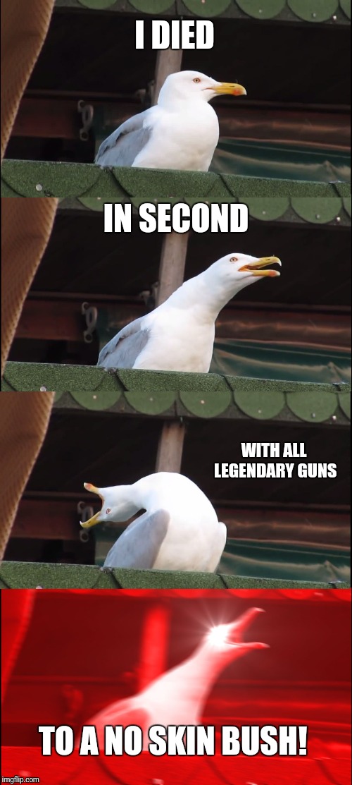 Inhaling Seagull Meme | I DIED; IN SECOND; WITH ALL LEGENDARY GUNS; TO A NO SKIN BUSH! | image tagged in memes,inhaling seagull | made w/ Imgflip meme maker