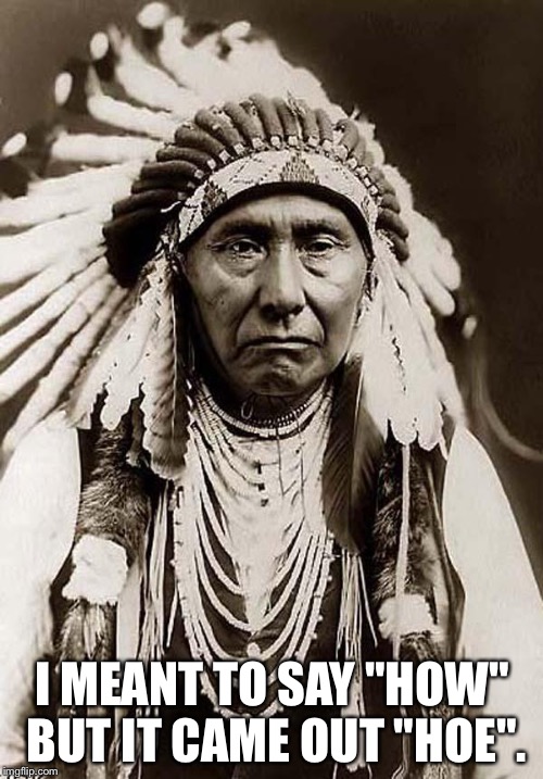 Indian Chief | I MEANT TO SAY "HOW" BUT IT CAME OUT "HOE". | image tagged in indian chief | made w/ Imgflip meme maker