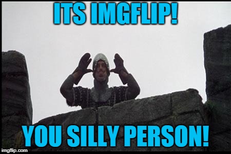 French Taunting in Monty Python's Holy Grail | ITS IMGFLIP! YOU SILLY PERSON! | image tagged in french taunting in monty python's holy grail | made w/ Imgflip meme maker