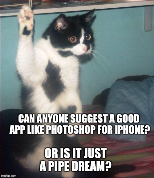 Question | CAN ANYONE SUGGEST A GOOD APP LIKE PHOTOSHOP FOR IPHONE? OR IS IT JUST A PIPE DREAM? | image tagged in question cat,memes,cats,please help me | made w/ Imgflip meme maker