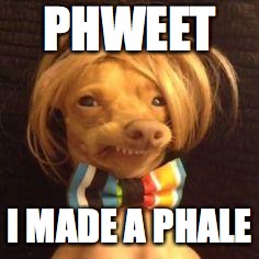 phteven dog | PHWEET; I MADE A PHALE | image tagged in phteven dog | made w/ Imgflip meme maker
