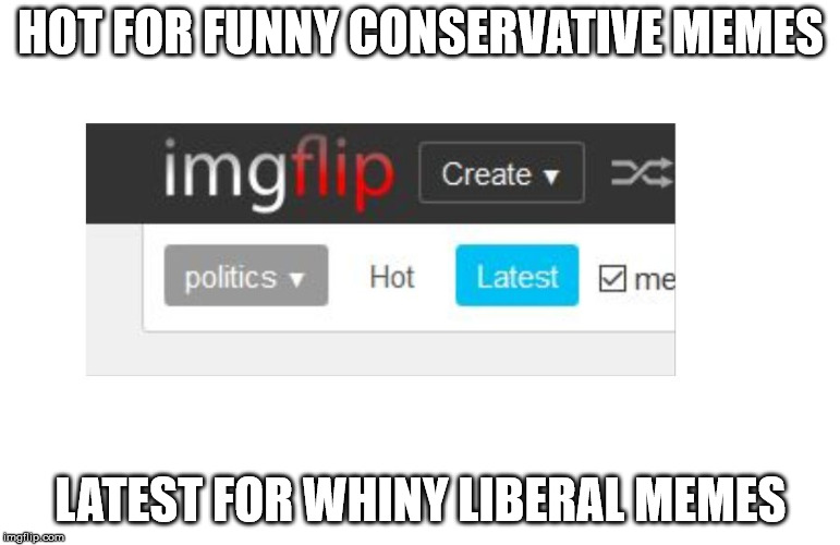 It's funny because it's true | HOT FOR FUNNY CONSERVATIVE MEMES; LATEST FOR WHINY LIBERAL MEMES | image tagged in stupid liberals,funny conservatives | made w/ Imgflip meme maker
