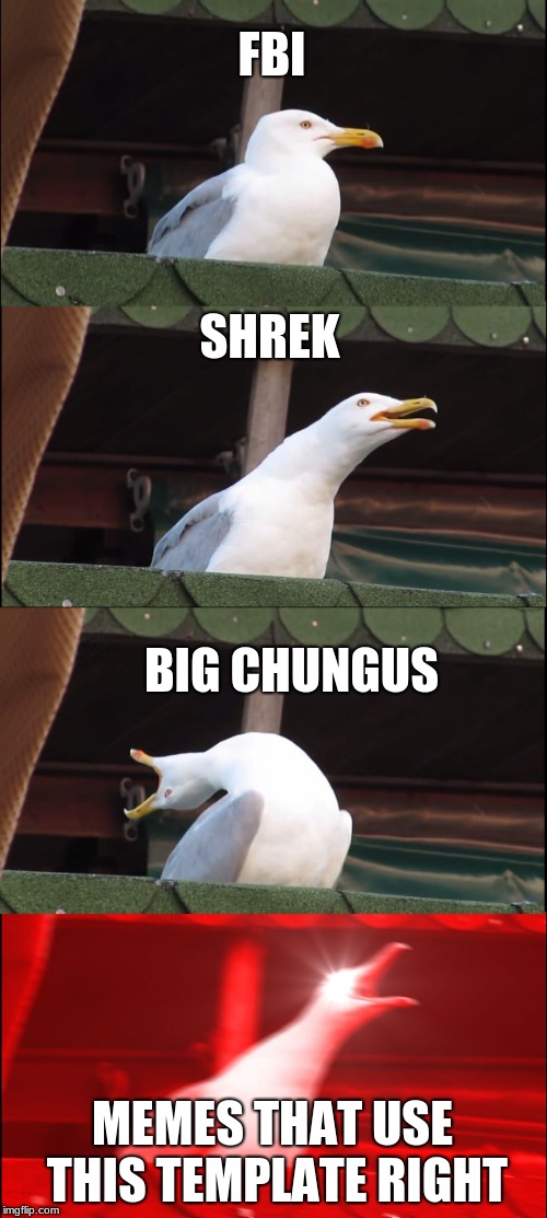 the memes | FBI; SHREK; BIG CHUNGUS; MEMES THAT USE THIS TEMPLATE RIGHT | image tagged in memes,inhaling seagull | made w/ Imgflip meme maker