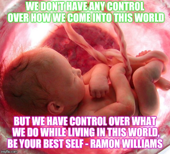 Life | WE DON'T HAVE ANY CONTROL OVER HOW WE COME INTO THIS WORLD; BUT WE HAVE CONTROL OVER WHAT WE DO WHILE LIVING IN THIS WORLD, BE YOUR BEST SELF - RAMON WILLIAMS | image tagged in memes,motivation | made w/ Imgflip meme maker